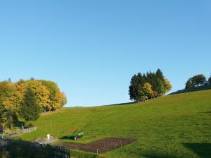 a green hill with trees on top of it at Ferienhaus Uda in Schwarzenberg