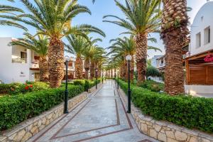 uma passarela alinhada com palmeiras num resort em Annabelle Beach Resort em Hersonissos