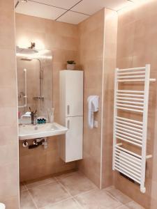 a bathroom with a sink and a shower at Hôtel Terranostra in Tarascon-sur-Ariège