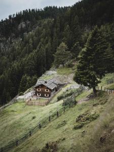 a house on the side of a hill with a tree at Hirschhof Pfrein - Hideaway in Chiusa