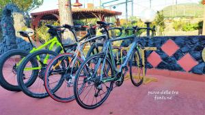 3 biciclette sono parcheggiate l'una accanto all'altra di Parco Delle Tre Fontane a Nicolosi