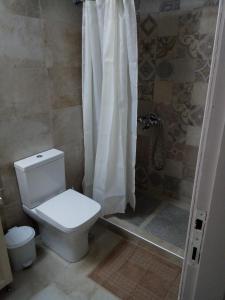 佩塔利迪昂的住宿－Petalidi Fragkos，浴室设有卫生间和带浴帘的淋浴。