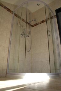 La salle de bains est pourvue d'une douche avec une porte en verre. dans l'établissement Haus am Donausee (House at the Danube Lake Beach), à Weitenegg