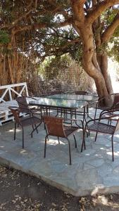 ナクソス・コラにあるNaxos Gardenの木の下のピクニックテーブルと椅子