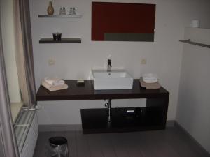 a bathroom with a sink in a room at Landhuis Vedastus in Reningelst