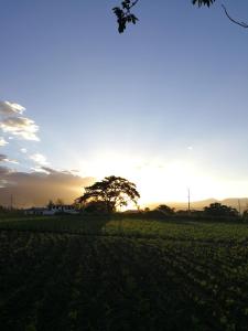 Paisaje cerca de este bed & breakfast