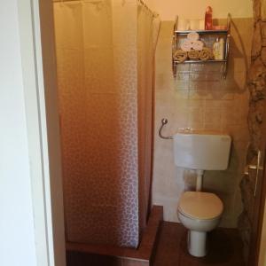 a small bathroom with a toilet and a shower at Apartman Stipe in Jelsa +19 photos