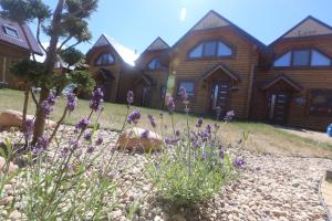 里沃Sosnowe Domki的一座圆木房子前面有紫色的鲜花