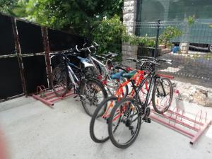 Rooms and Apartment Feral tesisinde veya etrafında bisiklete binme