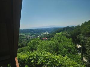 Příroda nedaleko apartmánu