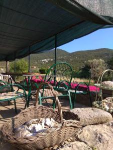 a group of chairs and a picnic table with a basket at Orange Dream vacation house in Brijesta