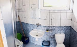 a small bathroom with a toilet and a sink at Dzika Róża in Karwia