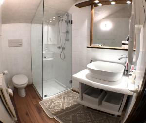 uma casa de banho com um chuveiro, um lavatório e um WC. em Piccolo Nido Falcade em Falcade