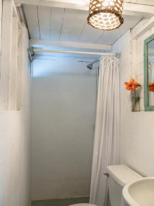 a bathroom with a white shower curtain and a toilet at Pacheco Farmhouse - Intag Valley in Peñaherrera