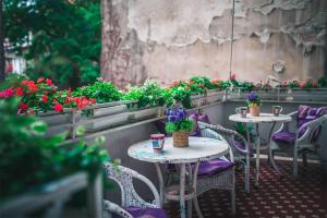 Zahrada ubytování Hostel Beogradjanka