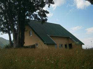 a house with a green roof in a field at Wolf Apartment in Žabljak