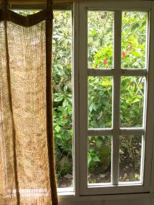 an open window with a view of a garden at Pacheco Farmhouse - Intag Valley in Peñaherrera