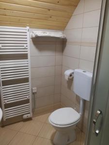 Apartmaji Vrhovnik tesisinde bir banyo