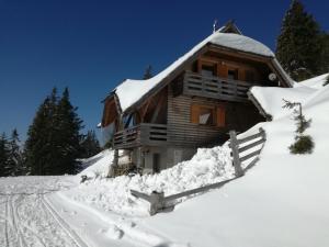 una cabaña de madera cubierta de nieve con un camino delante en Apartmaji Vrhovnik, en Cerklje na Gorenjskem