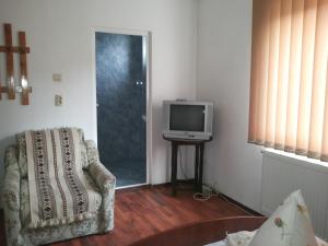 a living room with a chair and a television at Casa Vera in Bran