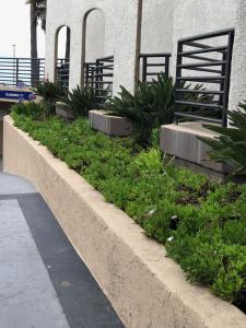 Gallery image of Huntington Beach Inn in Huntington Beach