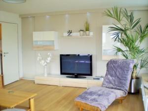 a living room with a tv and a chair at PenthouseApartment 250° in Sonthofen