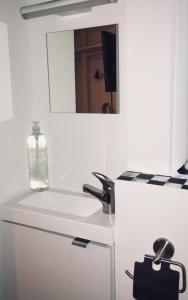 ein Bad mit einem Waschbecken und einem Spiegel in der Unterkunft ★★ Studio Coeur Toulouse, Saint Georges, Capitole ★★ in Toulouse