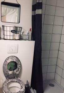 ein Bad mit einem WC, einem Spiegel und einer Dusche in der Unterkunft ★★ Studio Coeur Toulouse, Saint Georges, Capitole ★★ in Toulouse