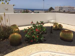 Zdjęcie z galerii obiektu Los Panelos B1 w Puerto del Carmen