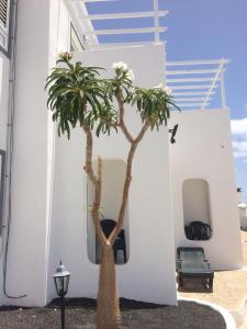 Zdjęcie z galerii obiektu Los Panelos B1 w Puerto del Carmen