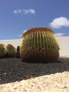 Zdjęcie z galerii obiektu Los Panelos B1 w Puerto del Carmen