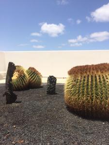 Zdjęcie z galerii obiektu Los Panelos B1 w Puerto del Carmen