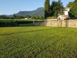 Eine grüne Wiese mit einem Haus im Hintergrund in der Unterkunft Mas Rubió in Joanetes