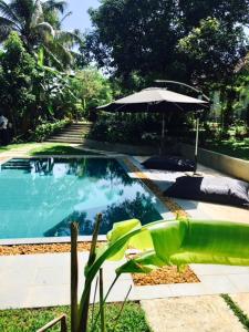 a swimming pool with an umbrella and a chair at Temple House Villa in Hikkaduwa