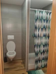 a bathroom with a toilet and a shower curtain at Apartment Brne in Postojna