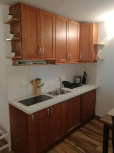 a kitchen with a sink and wooden cabinets at Apartment Brne in Postojna