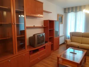 TV a/nebo společenská místnost v ubytování APARTAMENTO "PASEO DEL SAÚCO"