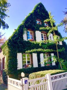 a house covered in ivy next to a white fence at Lilis kleines Hotel in Münster