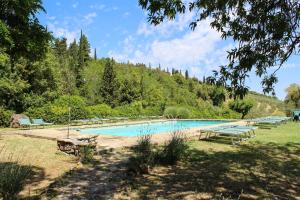 a pool of water surrounded by trees and shrubs at Fattoria San Donato in San Gimignano