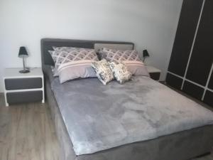コウォブジェクにあるOsiedle Polankiのベッドルーム1室(ピンクとグレーの枕が備わる大型ベッド1台付)