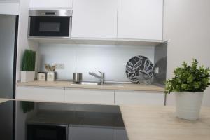 Kuchyň nebo kuchyňský kout v ubytování Lavaderos Suites