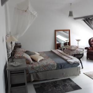 a bedroom with a large bed and a mirror at Maison Lalanne in Castelnau-Chalosse