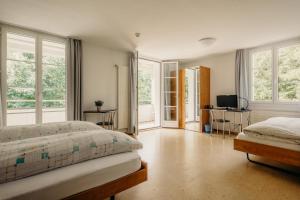 利斯塔尔Bienenberg - Das Genusshotel im Grünen - Liestal的一间卧室设有两张床、一台电视和窗户。