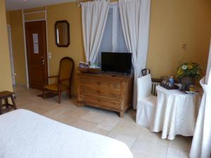 a bedroom with a bed and a tv on a dresser at Les Amandines in Chisseaux