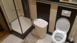 a bathroom with a toilet and a shower at Hołcyna in Brenna