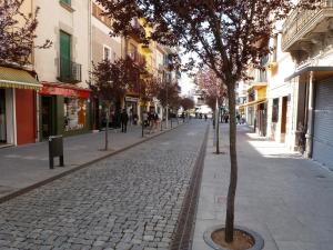 a cobblestone street with a tree in the middle at Hotel Costa Brava in Blanes