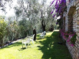 a row of white chairs sitting in the grass at Hotel Villa Margherita in Limone sul Garda