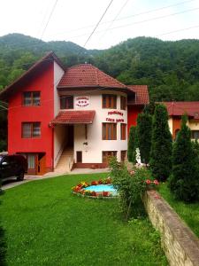 a red and white house with a pool in a yard at Pensiunea Casa David in Şugag