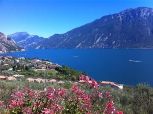 a view of a lake with mountains and pink flowers at Hotel Villa Margherita in Limone sul Garda
