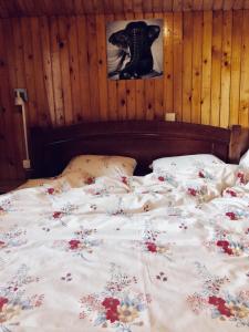 Ένα ή περισσότερα κρεβάτια σε δωμάτιο στο Apartmani Božana Vojinović